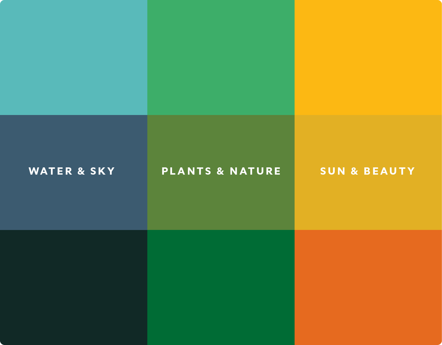 Brand Palette